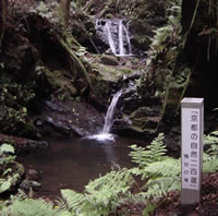 「京都の自然２００選」鴨谷の滝