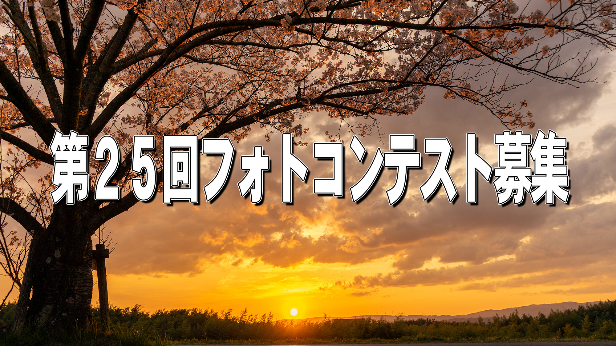 ��Q�T�� �t�H�g�R���e�X�g